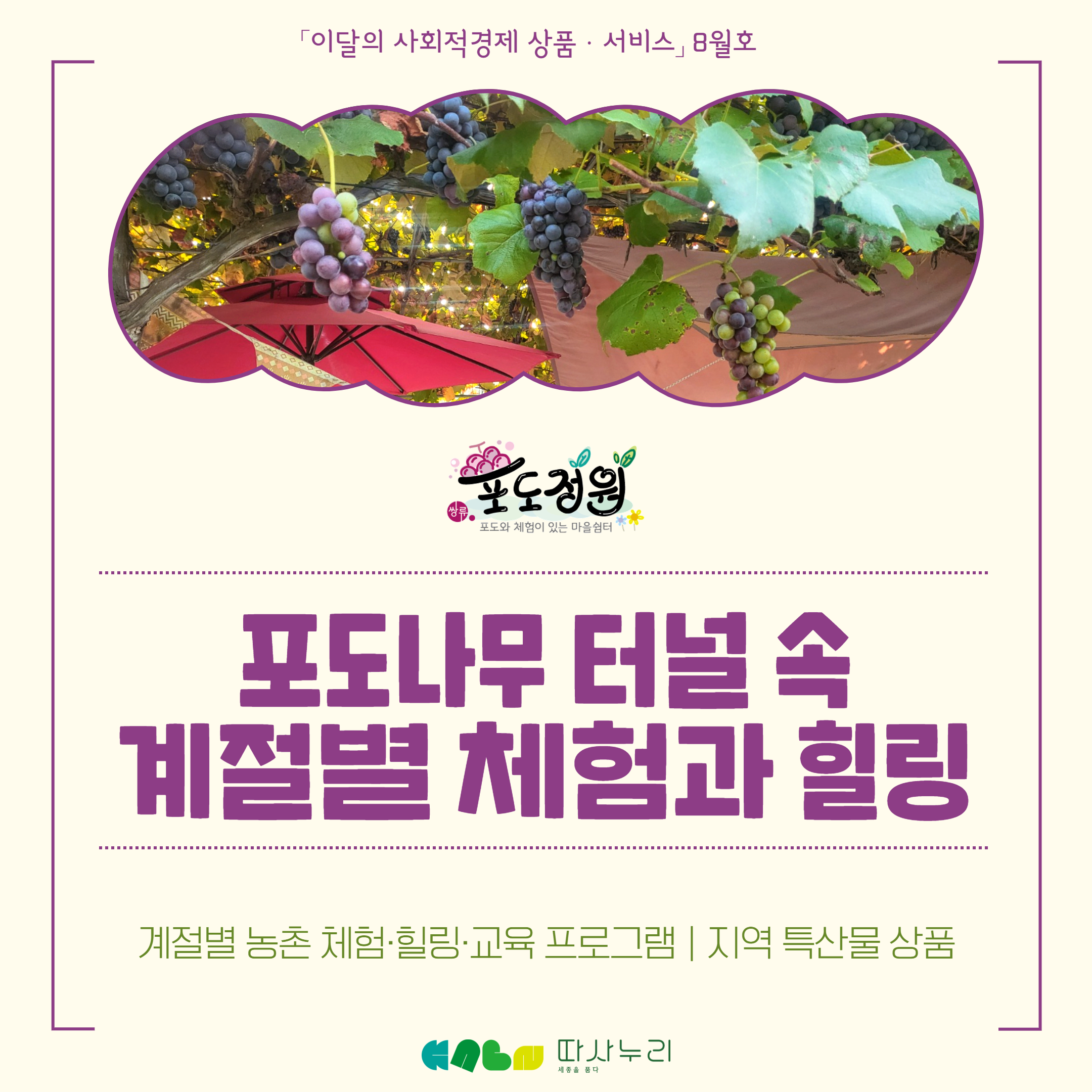 이달의_사회적경제_상품·서비스_8월_쌍류포도정원협동조합_-_1.jpg