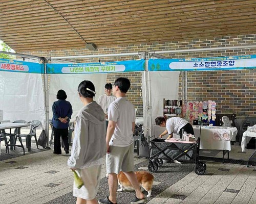2025. 6. 21. 세종시 사회적…